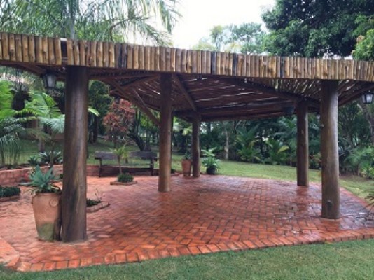 d0b92a04-e231-47c1-b25d-523bc9663d5d - Copia.jpg